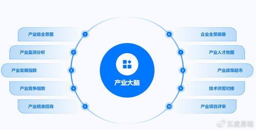 產(chǎn)業(yè)大腦 以數(shù)據(jù)處理服務(wù)全面賦能區(qū)域經(jīng)濟(jì)治理